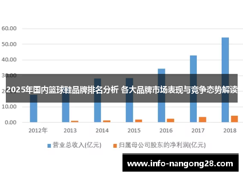 2025年国内篮球鞋品牌排名分析 各大品牌市场表现与竞争态势解读