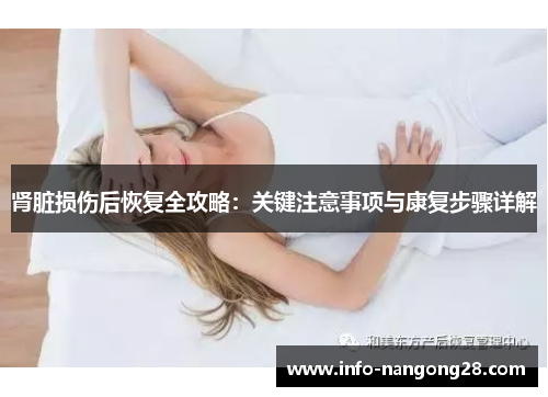 肾脏损伤后恢复全攻略：关键注意事项与康复步骤详解