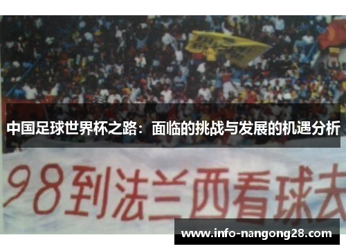 中国足球世界杯之路：面临的挑战与发展的机遇分析